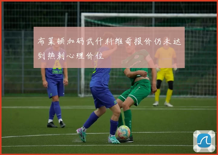 布莱顿加码武什科维奇报价仍未达到热刺心理价位